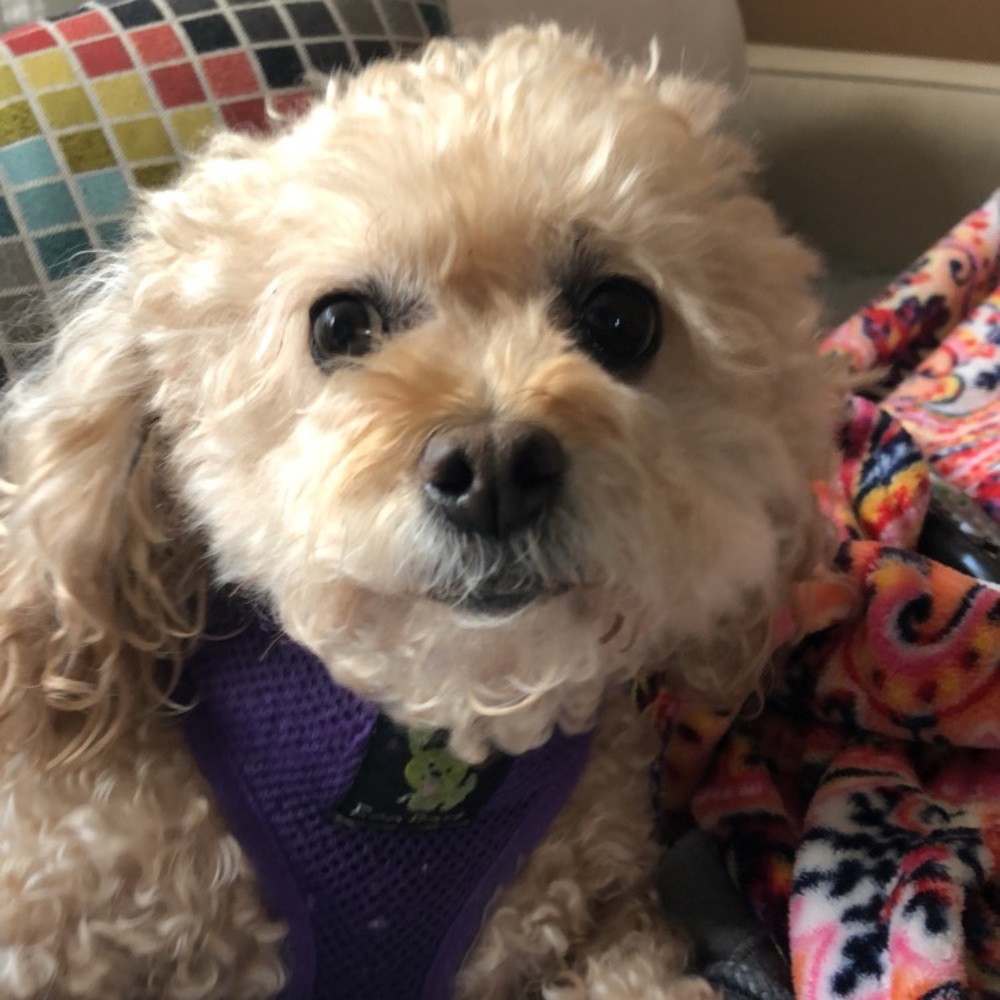 Meet your Posher, Melvin